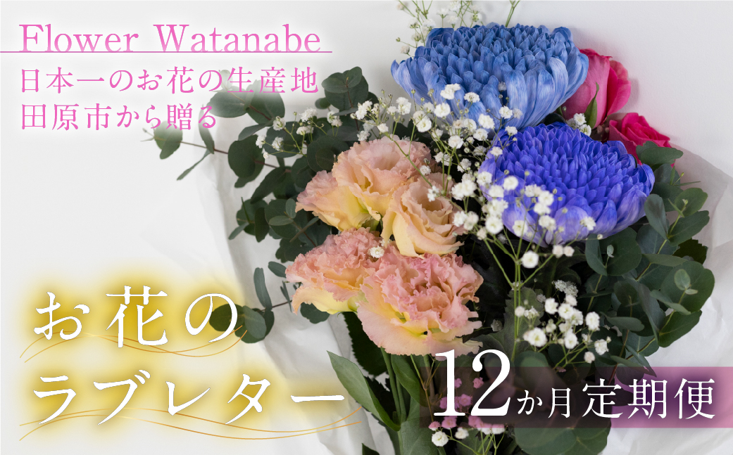 【定期便12回】お花屋さんのタハナＢＯＸ 定期便12回 定期便も選べる 定期便 3回 6回 12回 フラワーアレンジメント 花 お花 花束 ブーケ 季節 ギフト お祝い 誕生日 記念日 ギフト プレゼント インテリア お洒落 マム カラーマム 愛知県 田原市 10000円 1万円 キク、バラ、ガーベラ、アルストロメリア、カスミソウ、カーネーション