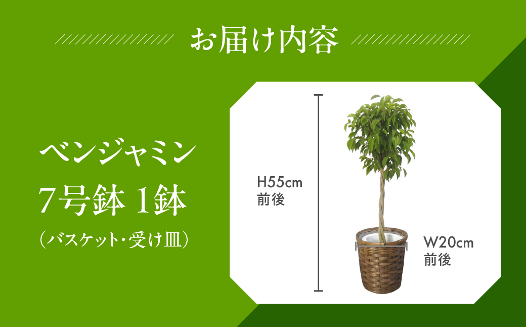 繝吶Φ繧ク繝」繝溘Φ 隕ウ闡画、咲黄 讀咲黄 7蜿キ驩「 莠コ豌 縺翫@繧繧 縺九o縺縺 縺頑焔蜈・繧 螳、蜀 螟ァ驩「 荳ュ蝙 繧、繝ウ繝繝ェ繧「 繝ェ繝薙Φ繧ー 邇髢「 蟇晏ョ、 繧ュ繝繝√Φ 繧ェ繝輔ぅ繧ケ 繝励Ξ繧シ繝ウ繝 繧ョ繝輔ヨ 譁ー螻 蜈・螻 繧、繝ウ繝繝ェ繧「繧ー繝ェ繝シ繝ウ 繧ー繝ェ繝シ繝ウ 邱 讀咲黄