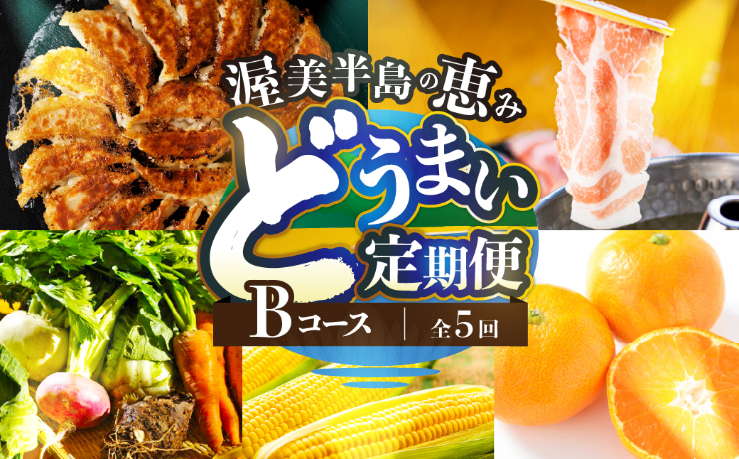 渥美半島の恵み どうまい 定期便 全5回 Bコース （ 野菜 セット 餃子 とうもろこし みかん 豚肉 ) 青うなぎ 名古屋コーチン マスクメロン ご当地 人気 頒布会