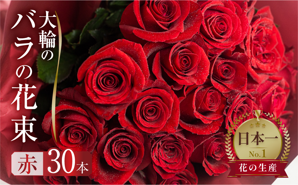 バラ 花束 大輪 赤 30本 (40cm) ブーケ 薔薇 ローズ  生花 観賞用 プレゼント 花 ギフト 誕生日 植物 フラワー 土壌栽培 産地直送 田原市 人気 切り花 切花 18000円