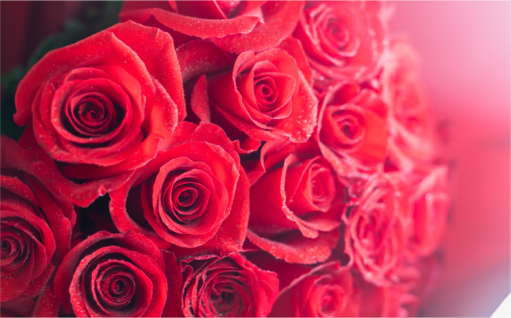 バラ 花束 大輪 赤 30本 (40cm) ブーケ 薔薇 ローズ  生花 観賞用 プレゼント 花 ギフト 誕生日 植物 フラワー 土壌栽培 産地直送 田原市 人気 切り花 切花 18000円