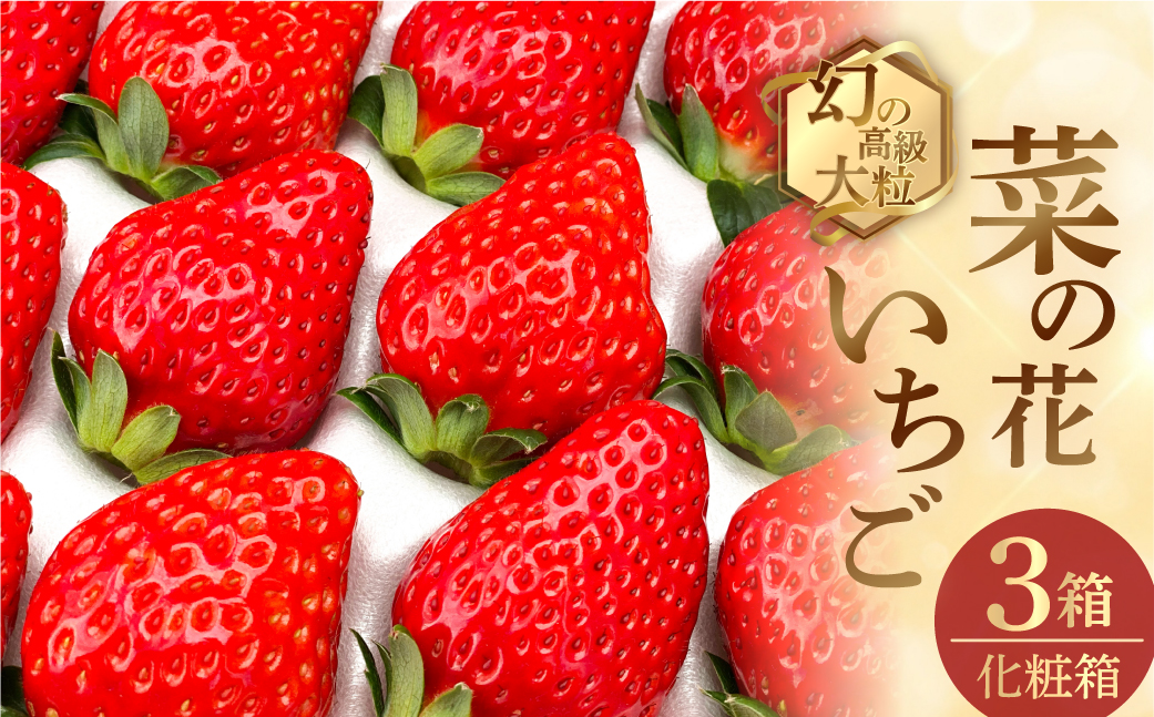 先行予約  菜の花いちご　3箱(8粒〜12粒入) 大粒
