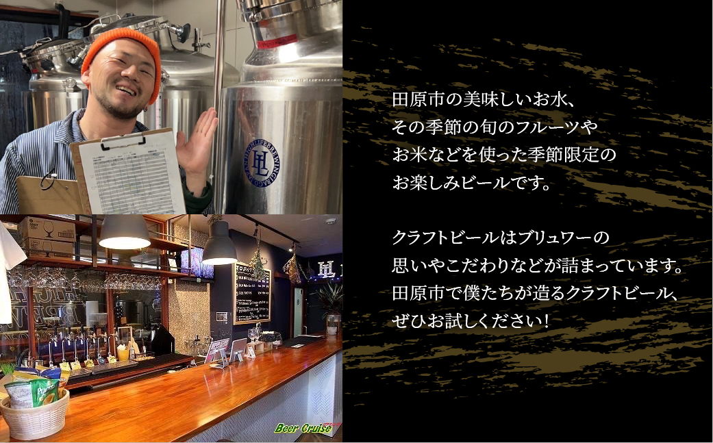 【6本セット】High Life Brewing クラフトビールセット 6本 クラフトビール ビール IPA 330ml 瓶 瓶ビール お酒 酒 ご当地 おすすめ 愛知県 田原市 渥美半島 送料無料