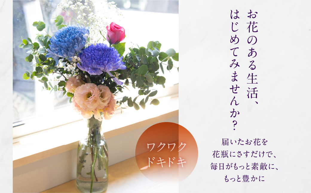 【定期便6回】お花屋さんのタハナＢＯＸ 定期便6回 定期便も選べる 定期便 3回 6回 12回 フラワーアレンジメント 花 お花 花束 ブーケ 季節 ギフト お祝い 誕生日 記念日 ギフト プレゼント インテリア お洒落 マム カラーマム 愛知県 田原市 10000円 1万円 キク、バラ、ガーベラ、アルストロメリア、カスミソウ、カーネーション