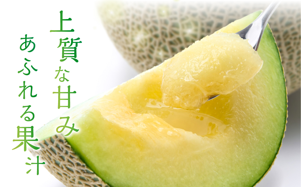  特別限定栽培 八右衛門アールスメロン 大玉2kg 1玉 （マスクメロン） 先行予約 メロン めろん 箱詰め フルーツ 果物 愛知県 田原市 6月 7月