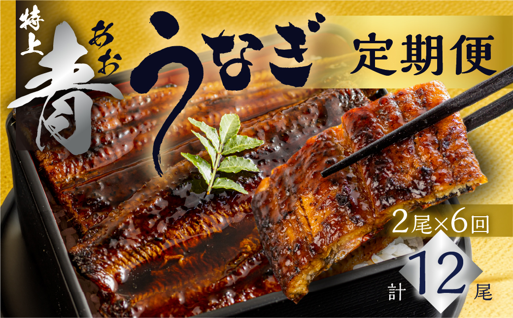 å³éž é«çŽ éããªã è²çŒ 2å°Ÿ å
š6å å®æäŸ¿ åèš12å°Ÿ ( ããªã ããªãå®æäŸ¿ 6å ïŒ å®æ 6ã¶æ 6ãµæ 6ãæ å幎 72000å )