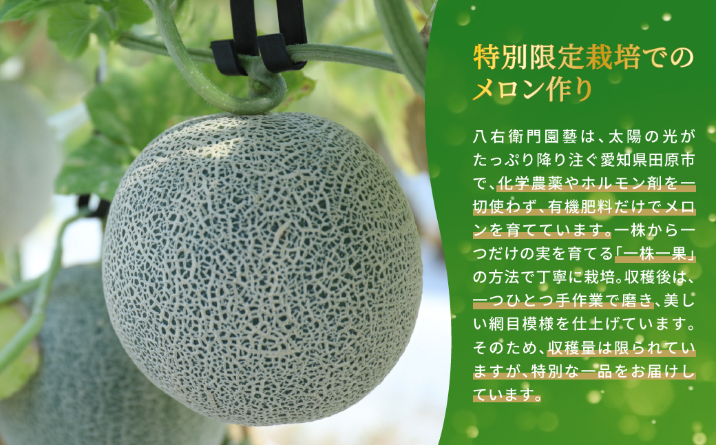  特別限定栽培 八右衛門アールスメロン 大玉1.8kg 2玉 （マスクメロン） 先行予約 メロン めろん 箱詰め フルーツ 果物 愛知県 田原市 6月 7月