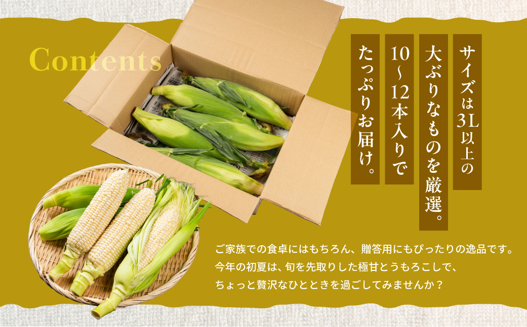 ãå
è¡äºçŽãæ¥µç æ©æ¡ã ãã¬ãã¢ã ãã«ãŒãã³ãŒã³ 10 ã 12æ¬ 3L 4L æž©å®€æ œå¹ é«ç³åºŠ ç ãã¥ã¢ãã¯ã€ã ãŸãã§ ãã«ãŒã ãã¬ãã¢ã ã³ãŒã³ ãšããããã ããŠã¢ãã³ã· çã æ¥ å€ åå€ å
è¡äºçŽ 5æ 6æ ããŠã¹ æ œå¹