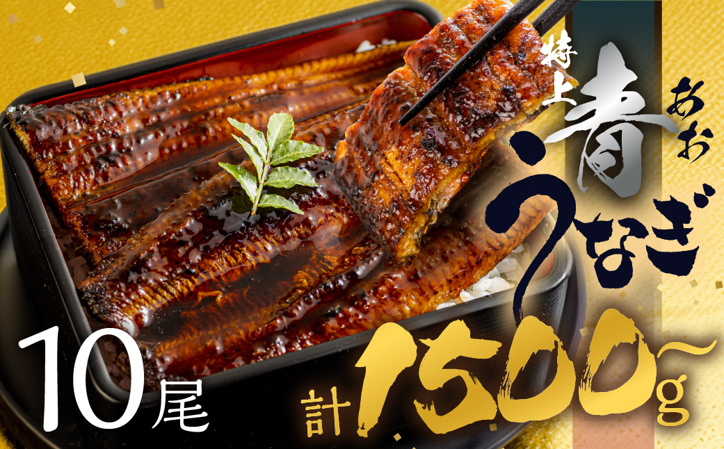 【すぐにお届け/冷凍】厳選 高級 青うなぎ 10尾 蒲焼 1500g