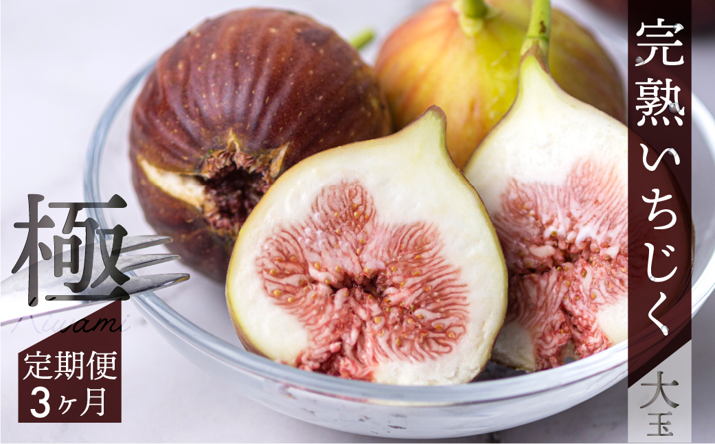 先行予約 完熟 いちじく 9-12玉 ［極］大玉 定期便 3カ月 2026年発送 フルーツ いちじく好きのための定期便  田原市 いちぢく