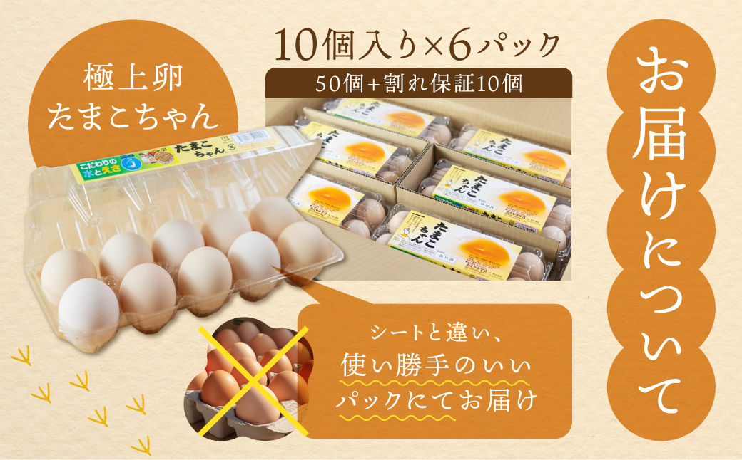 【3回お届け定期便】コク旨 極上卵 60 個 割れ保証付き 定期便 （ たまご 卵 毎月 3回 3ヶ月 3ヵ月 3か月 ランキング ）