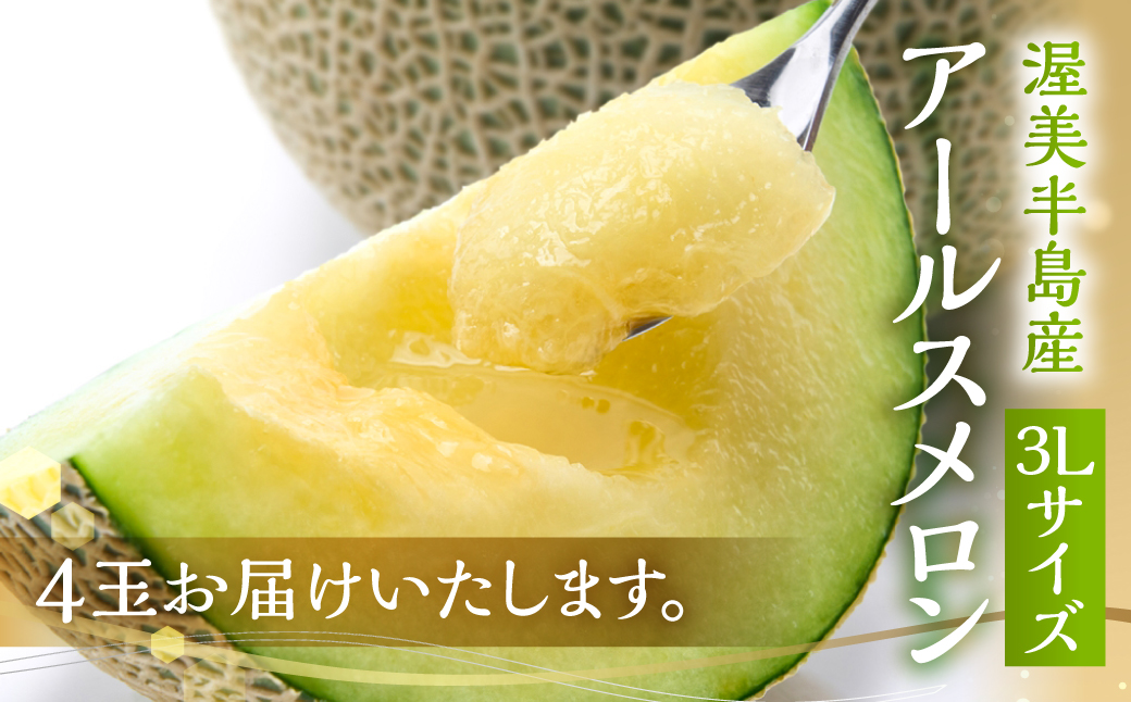 日研農園 アールスメロン　3L×4玉入 【先行予約】  めろん フルーツ 果物 ジューシー 愛知県 特産品 産地直送 田原市 渥美半島