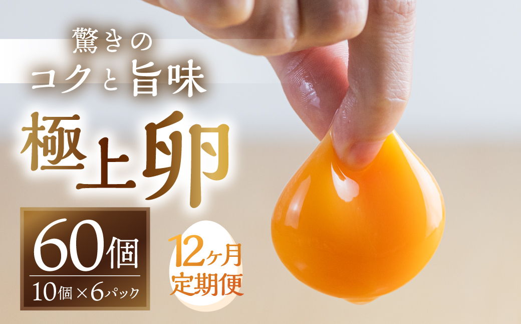 ã12åãå±ãå®æäŸ¿ãã³ã¯æš 極äžåµ 60 å å²ãä¿èšŒä»ã å®æäŸ¿ ïŒ ããŸã åµ æ¯æ 12å 12ã¶æ 12ãµæ 12ãæ 1幎 60å ã©ã³ãã³ã° ïŒ