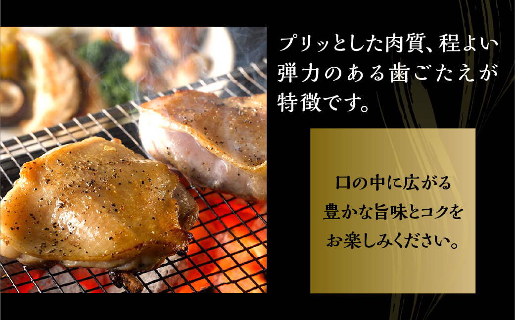 【3kg】三和 純鶏 名古屋コーチン もも肉 3kg 地鶏 鶏肉 創業 明治 33年 さんわ 鶏三和 冷蔵 冷蔵配送  とりにく さんわ 鶏 とり肉 もも モモ肉 もも肉 国産 田原市 33000円 肉