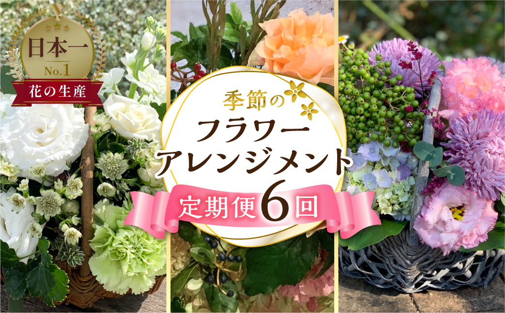 定期便 6回 季節のお花を使った フラワーアレンジメント 花 かご付き 生花 お任せ ギフト プレゼント 飾り 愛知県 田原市 渥美半島 102000円