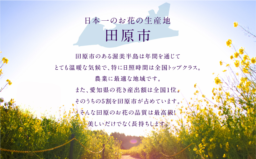 ãåå 1åããè±å±ããã®ã¿ããïŒ¢ïŒ¯ïŒžå®æäŸ¿ãéžã¹ã ãã©ã¯ãŒã¢ã¬ã³ãžã¡ã³ã è± ãè± è±æ ããŒã± å£ç¯ ã®ãã ãç¥ã èªçæ¥ èšå¿µæ¥ ã®ãã ãã¬ãŒã³ã ã€ã³ããªã¢ ãæŽèœ ãã ã«ã©ãŒãã æç¥ç ç°ååž 10000å 1äžå ãã¯ããã©ãã¬ãŒãã©ãã¢ã«ã¹ããã¡ãªã¢ãã«ã¹ããœãŠãã«ãŒããŒã·ã§ã³