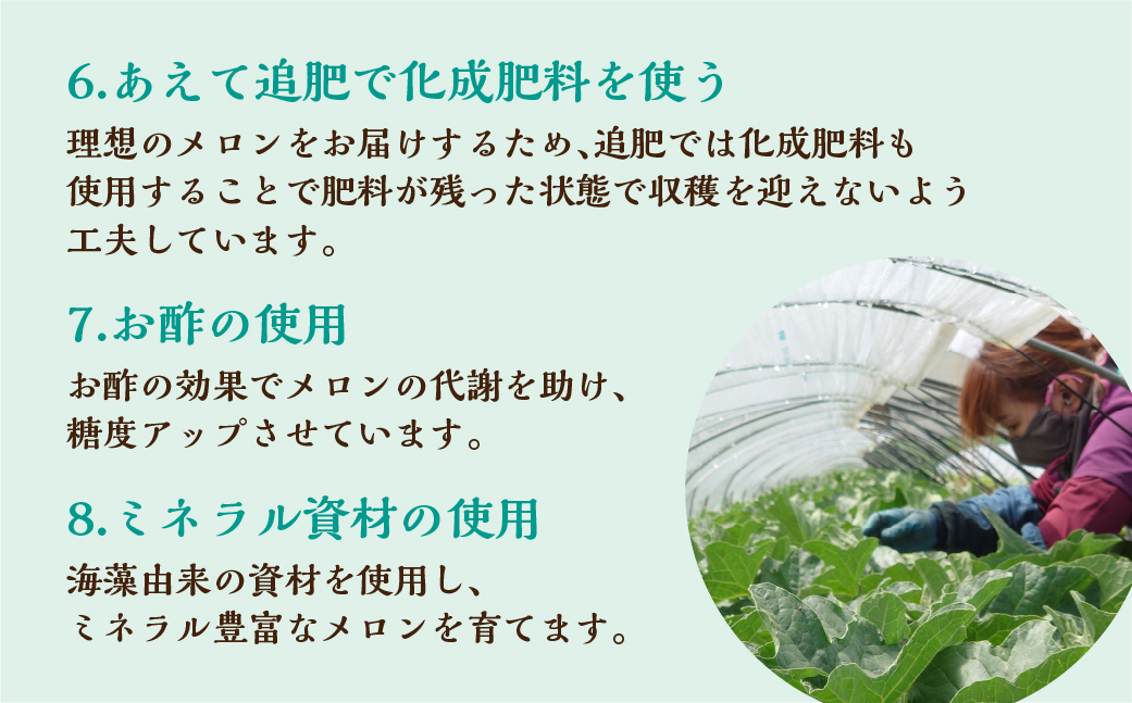 水野農園産タカミレッド　２玉