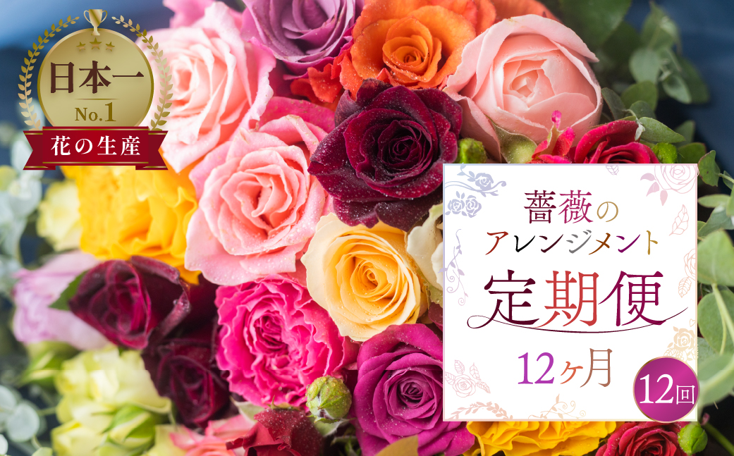 【定期便】薔薇 アレンジメント (バラ20本+ユーカリ) 12ヶ月 12回 花 アレンジブーケ バラ 薔薇 花束 ローズ 生花