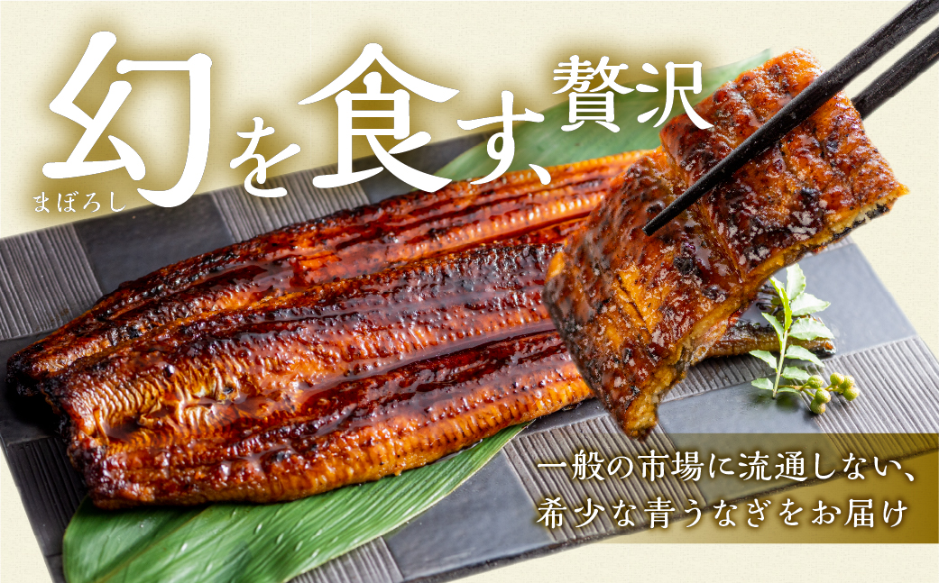 厳選 高級 青うなぎ 蒲焼 2尾 全3回 定期便 合計6尾 ( うなぎ うなぎ定期便 3回 ３ 定期  3ヶ月 3ヵ月 3か月 36000円 )