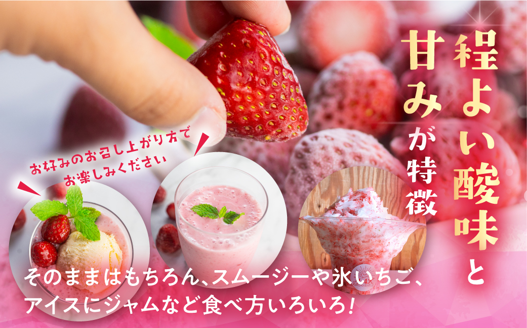 年内発送 【愛知県・田原産】フローズンいちご 約1kg×2袋 訳あり 形不揃い
