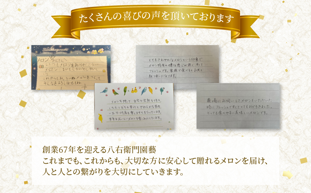  特別限定栽培 八右衛門アールスメロン 大玉2kg 2玉 （マスクメロン） 先行予約 メロン めろん 箱詰め フルーツ 果物 愛知県 田原市 6月 7月