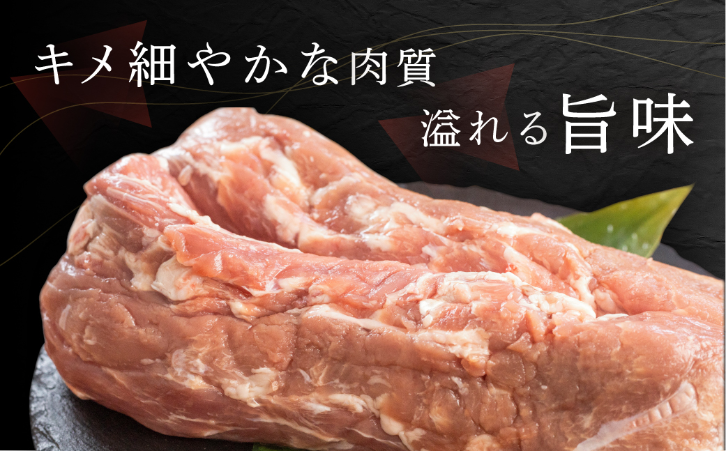 訳あり 国産 豚肉 食べ比べ 2本 ヒレ ブロック 冷凍 瓜生豚 小分け 簡易包装 訳あり ぶた 贈り物 ギフト お取り寄せ お取り寄せグルメ 食品 送料無料 産地直送 冷凍 瓜生 19000円