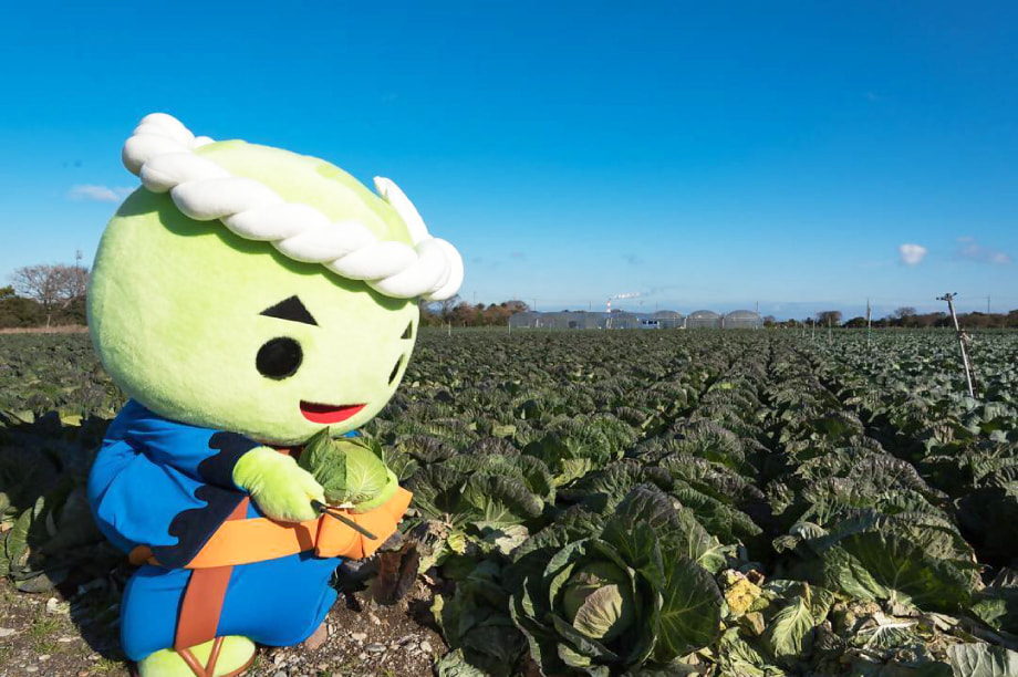 ｢おいしい野菜や肉、美しい花｣を応援