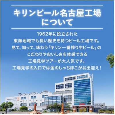 【2ヵ月毎定期便】キリン ビールと ノンアル 詰合【 ラガー・ラガーゼロ 】350ml 各1箱全3回【4087989】