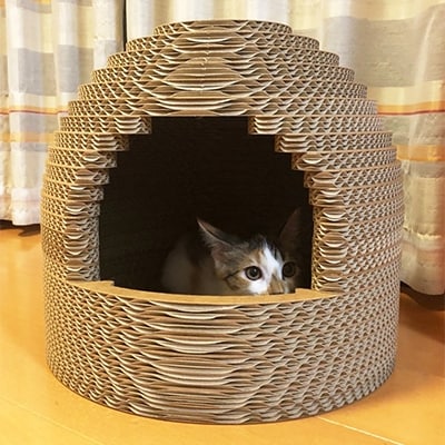 ダンボールねこちぐら【1101529】