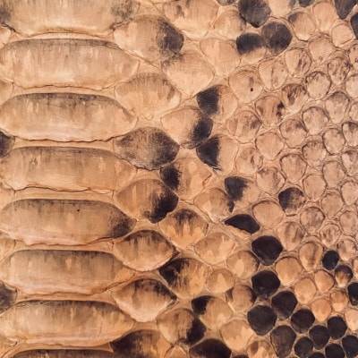 NYATTU PROJECT 天然パイソン(ヘビ革)フラグメントケース(ポーチ)ピンクマダラ【1615447】