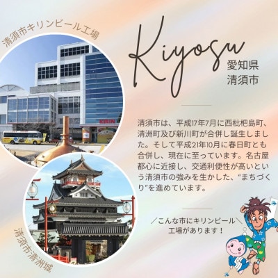 【3ヵ月毎定期便】キリン　本搾りチューハイ　レモン　350ml×48本(2ケース)全3回【4066949】