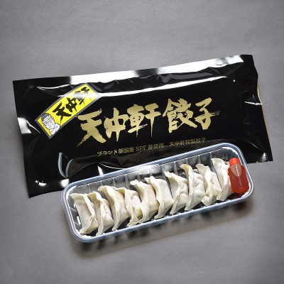 天中軒の冷凍餃子　5パック【配送不可地域：離島】【1417826】