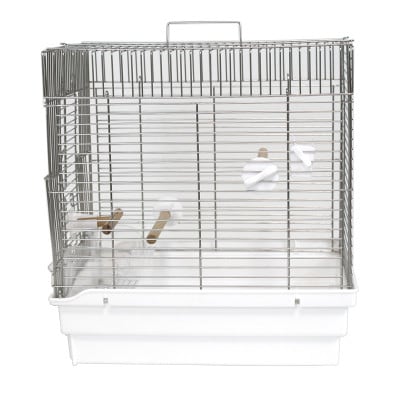 HOEIã®é³¥ãããå°é³¥çšã¹ãã³ã¬ã¹æšªãã¿ã±ãŒãžã21æã®ã暪ãã¿ã¹ãã³ã¬ã¹ã1418696ã