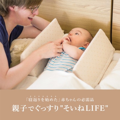 farska 繝輔ぃ繝ォ繧ケ繧ォ 繝吶ャ繝峨う繝ウ繝吶ャ繝 Aid 繧ェ繝シ繧ャ繝九ャ繧ッ縲1739584縲