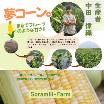 【2026年度先行受付】愛知県みよし市産 朝採り「夢コーン。」Lサイズ20本セット 数量限定【配送不可地域：離島】【1727422】