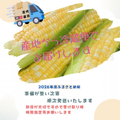 【2026年度先行受付】愛知県みよし市産  朝採り「夢コーン。」Lサイズ10本セット　数量限定【配送不可地域：離島・沖縄県】【1623766】