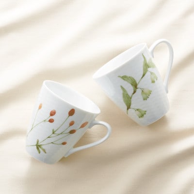 繝弱Μ繧ソ繧ア縲舌≠縺・縺セ縺ョ霍ッ縲代槭げ繧ォ繝繝(繧上l繧ゅ%縺)縲1637992縲