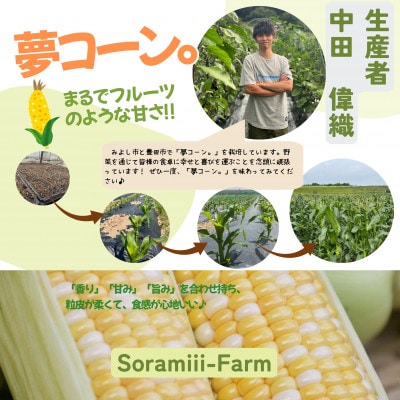 【2026年度先行受付】愛知県みよし市産 朝採り「夢コーン。」Lサイズ8本セット 数量限定【配送不可地域：離島】【1727417】