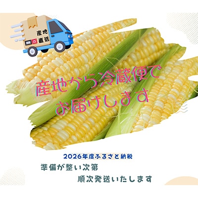 ã2026幎床å
è¡åä»ãæç¥çã¿ããåžç£ ææ¡ãã倢ã³ãŒã³ãã Lãµã€ãºã40æ¬ã»ãããæ°ééå®ãé
éäžå¯å°åïŒé¢å³¶ãã1727420ã