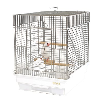 HOEIã®é³¥ãããå°é³¥çšã¹ãã³ã¬ã¹æšªãã¿ã±ãŒãžã21æã®ã暪ãã¿ã¹ãã³ã¬ã¹ã1418696ã