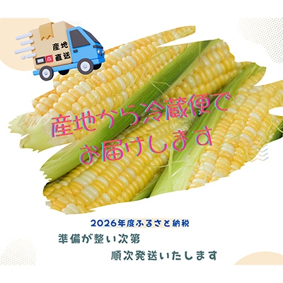 ã2026幎床å
è¡åä»ãæç¥çã¿ããåžç£ ææ¡ãã倢ã³ãŒã³ããLãµã€ãº8æ¬ã»ãã æ°ééå®ãé
éäžå¯å°åïŒé¢å³¶ãã1727417ã