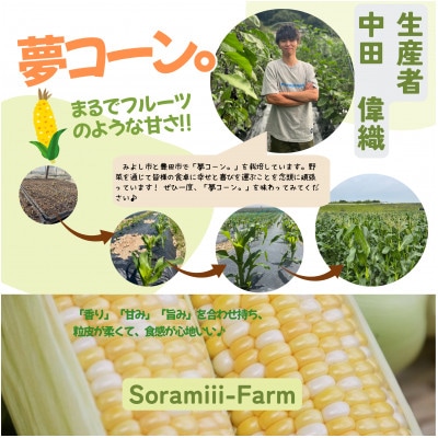 【2026年度先行受付】愛知県みよし市産  朝採り「夢コーン。」Lサイズ10本セット　数量限定【配送不可地域：離島・沖縄県】【1623766】