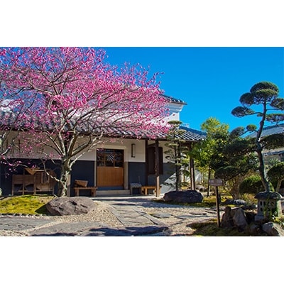 æäººã®èšå¿µã«ã¶ã»ãªãªãšã³ã¿ã«åè£
ã§æãåºã«æ®ãæ®åœ±ããã¿ããåžæå®æå財ç³å·å®¶äœå®
ã§ã1125664ã