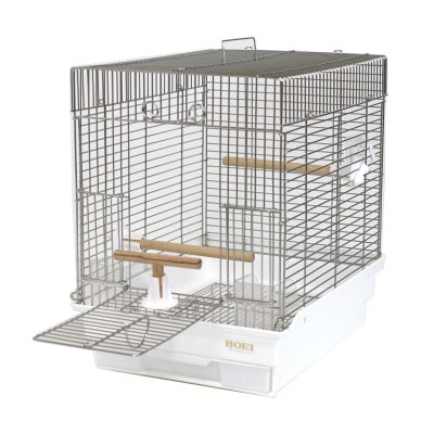 HOEIã®é³¥ãããå°é³¥çšã¹ãã³ã¬ã¹æšªãã¿ã±ãŒãžã21æã®ã暪ãã¿ã¹ãã³ã¬ã¹ã1418696ã