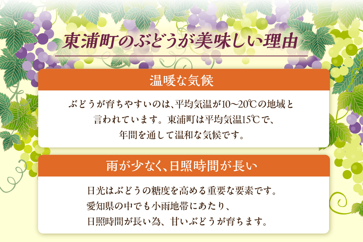 【先行予約】【2026年8月発送】東浦町産 ぶどうMIX・約1kg