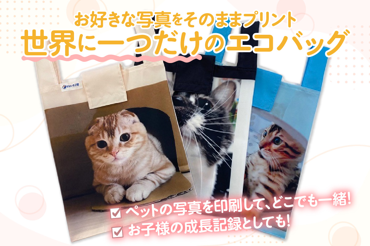 ãªãŒããŒã¡ã€ã ãªãªãžãã«ããªã³ããšã³ããã°ïŒ1æïŒâãšã³ããã° ãã°ã ããªã³ã å°å· ãã¬ãŒã³ã ã®ãã èªçæ¥ æ¯ã®æ¥ ç¶ã®æ¥ æ¬èã®æ¥ æç¥ç æ±æµŠçº