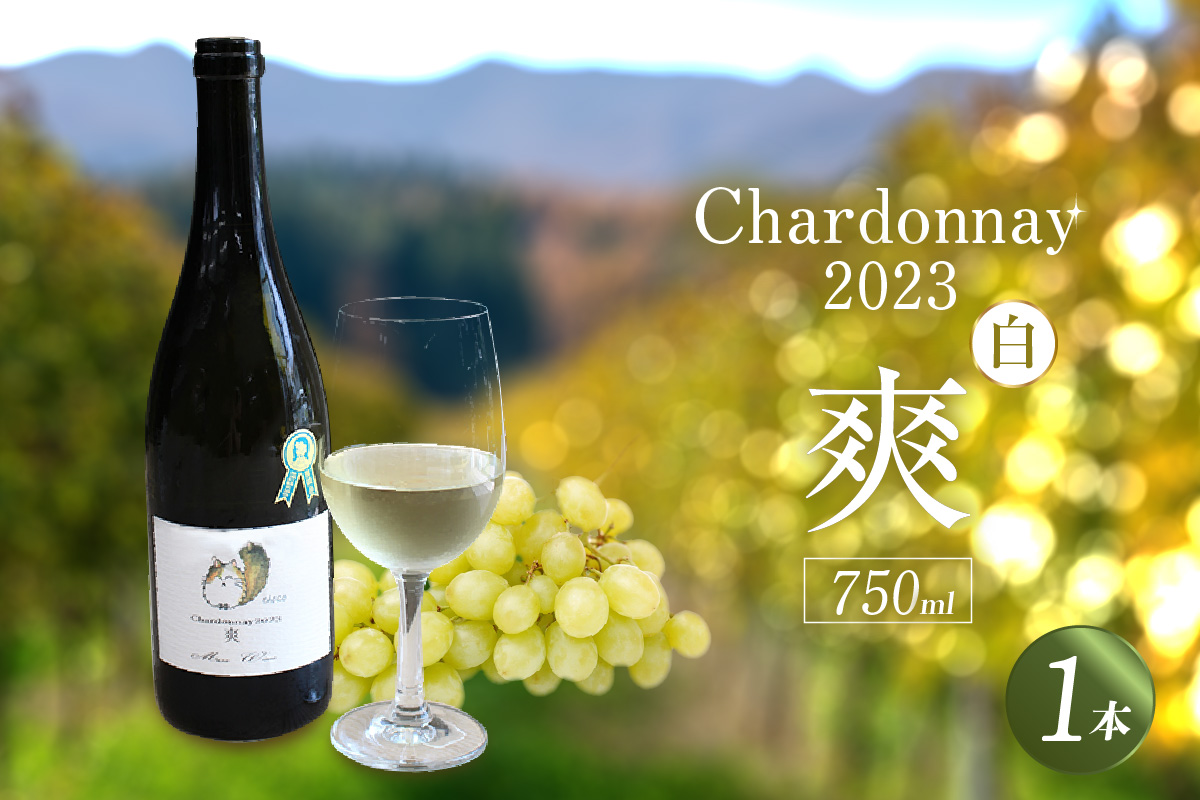 Chardonnay2023 爽 750ml 白ワイン｜シャルドネ 無添加 無濾過 国産 日本ワイン 愛知県 東浦町