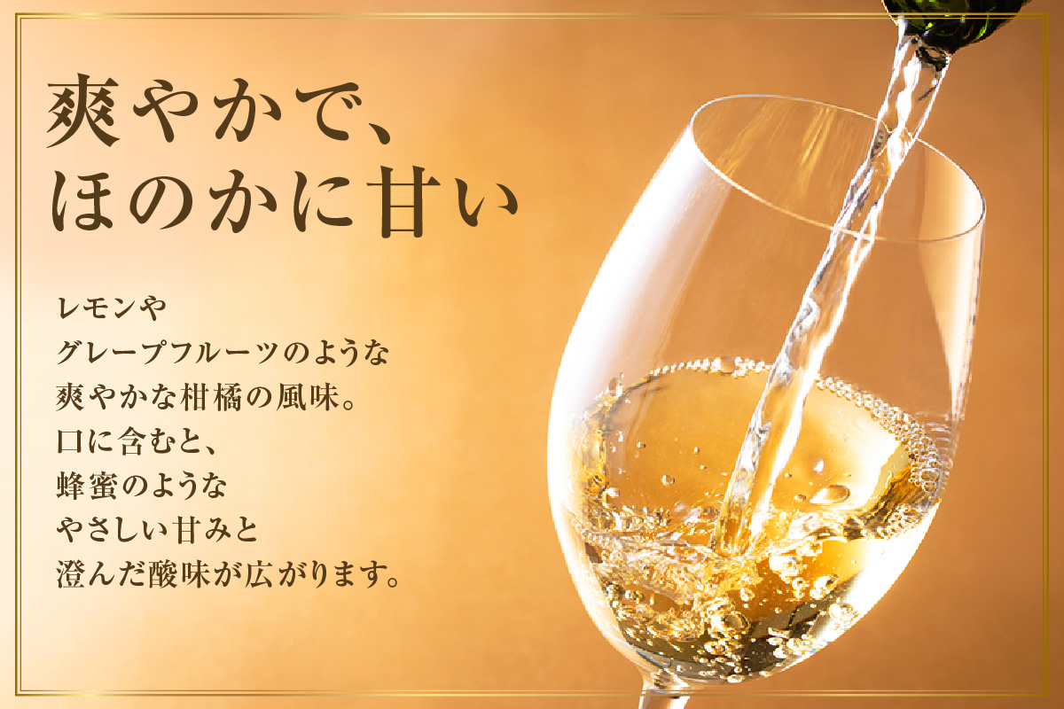 Chardonnay2023 爽 750ml 白ワイン｜シャルドネ 無添加 無濾過 国産 日本ワイン 愛知県 東浦町