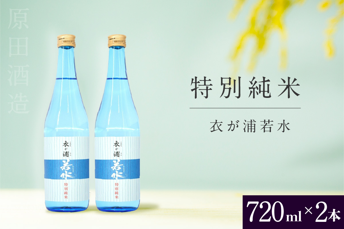 知多半島東浦の地酒【衣が浦 若水】特別純米酒 720ml×2本