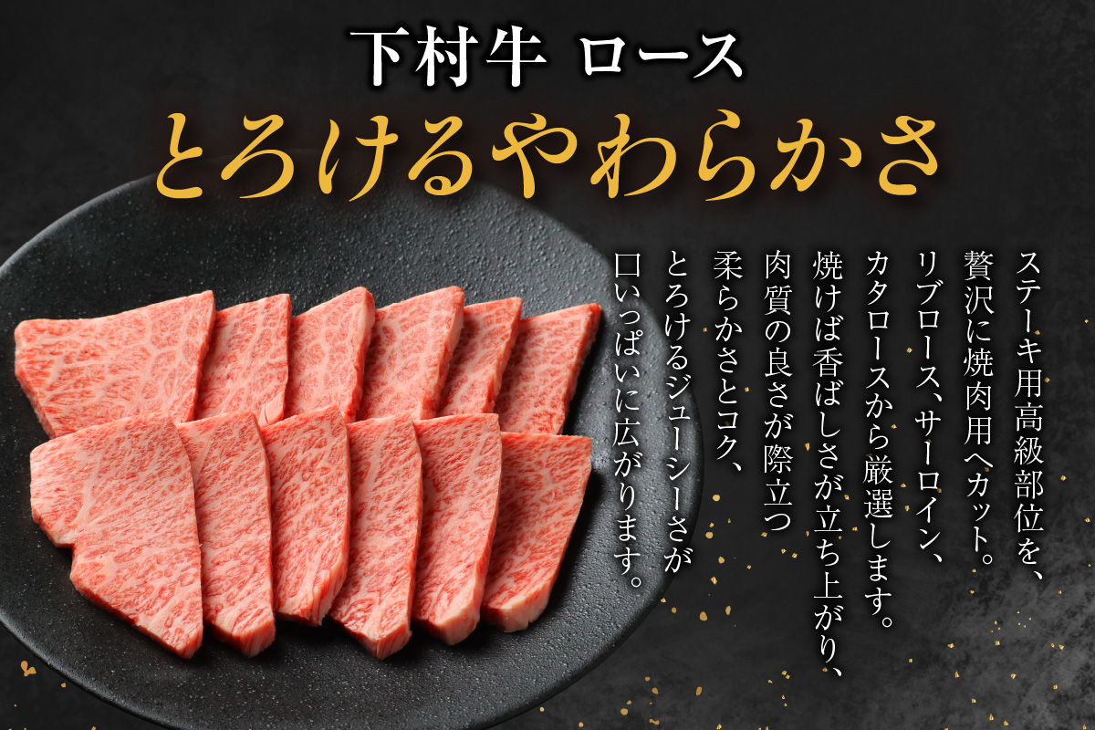 東浦町産黒毛和牛『下村牛』焼肉3種食べ比べセット 計750g（ロース・カルビ・あかみ 各250g）│焼肉 黒毛和牛 和牛 セット お肉 肉 バーベキュー 高級 カルビ かるび ロース 赤身 あかみ 下村牛 愛知県 東浦町